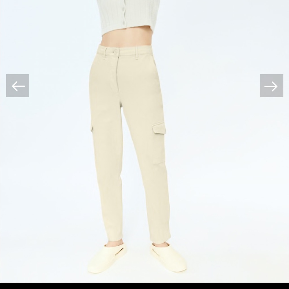 Aritzia Wilfred Free Cargo Pants
